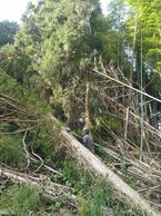 台風21．22号被害