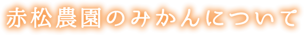 赤松農園のみかんについて