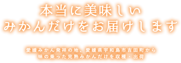 本当に美味しいみかんだけをお届けします