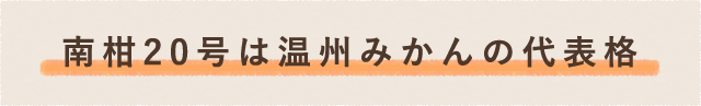 南柑20号は温州みかんの代表格