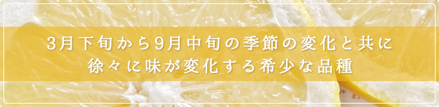 3月下旬から9月中旬の季節の変化と共に徐々に味が変化する希少な品種