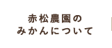 赤松農園のみかんについて