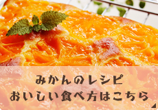 みかんのレシピおいしい食べ方はこちら