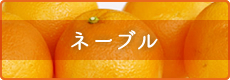 ネーブル